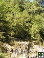 thn_NZ leden-unor 2006 227.jpg
